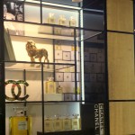 The Beauty Project Launch