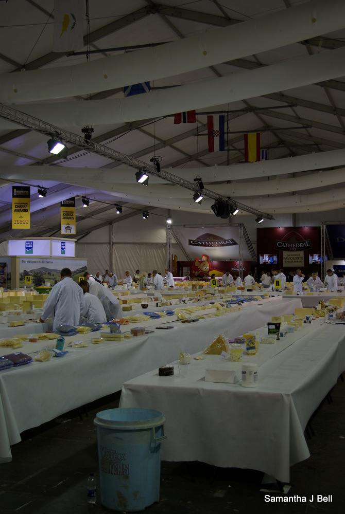 Cheese Awards (3)