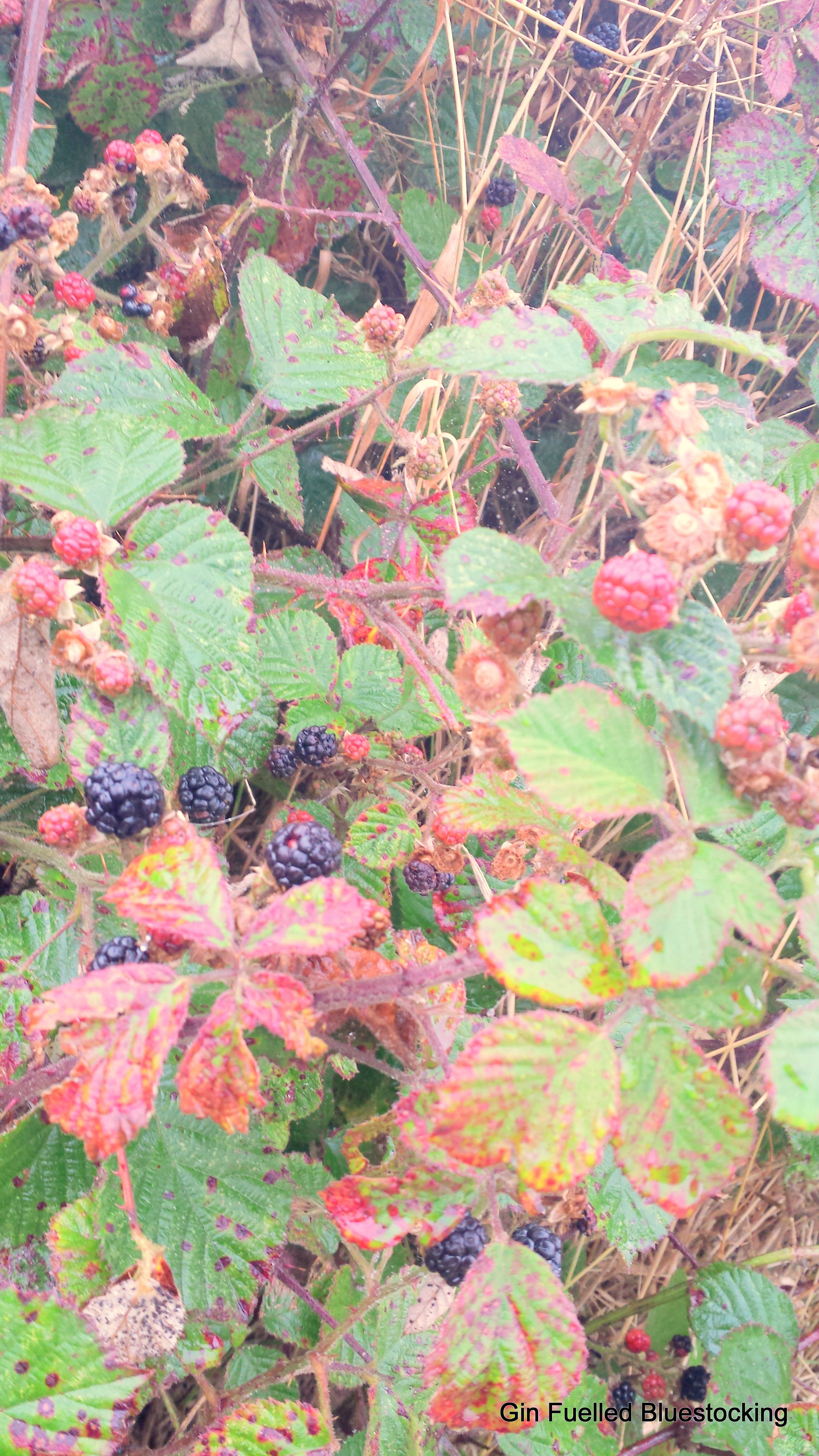 20140906_112547