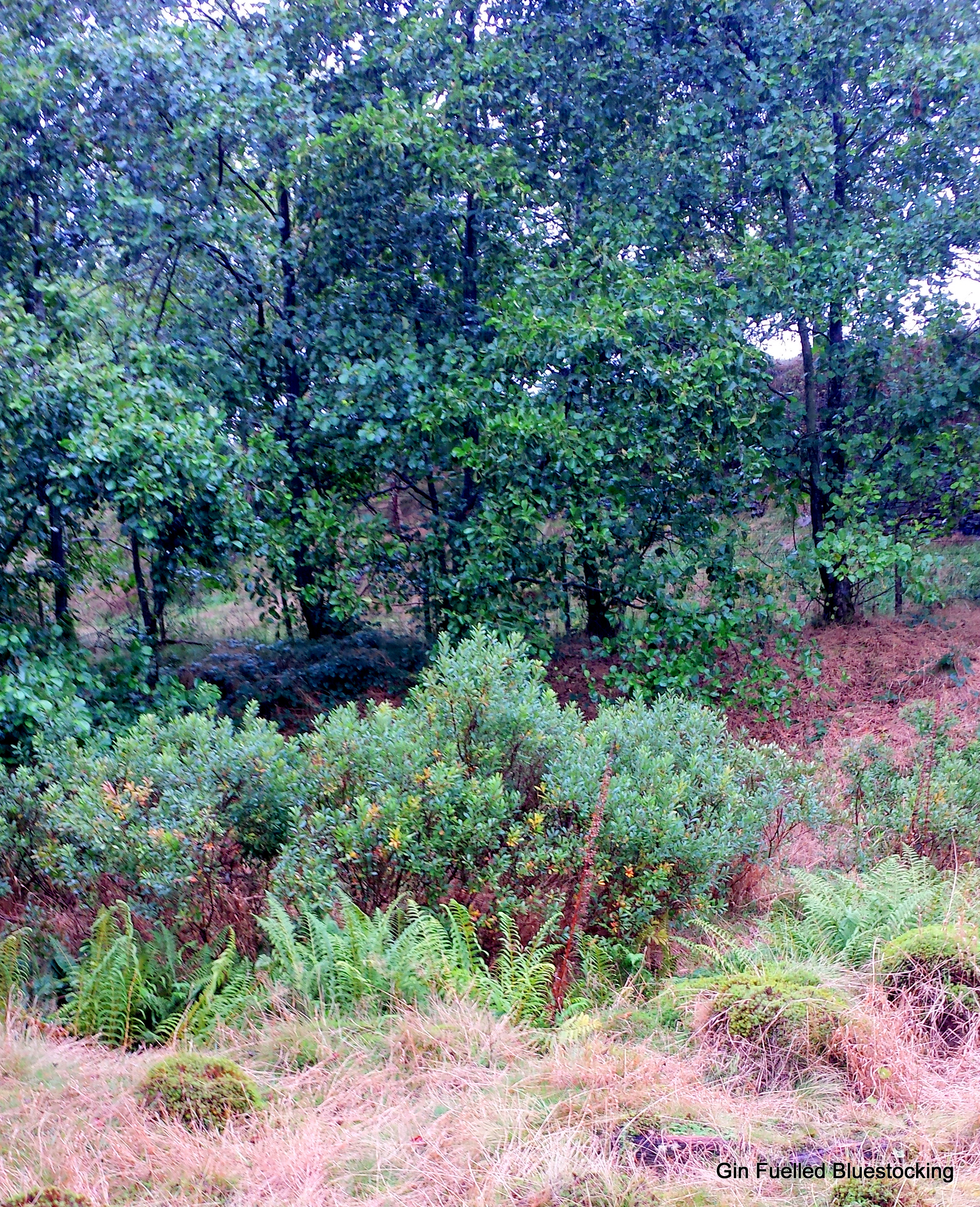 20140906_120449
