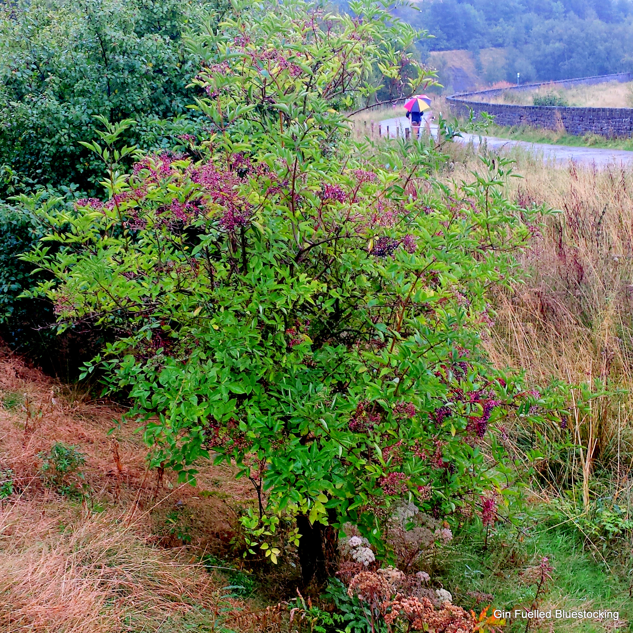 20140906_121612