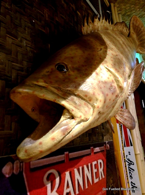 Cocktail Tiki Bar